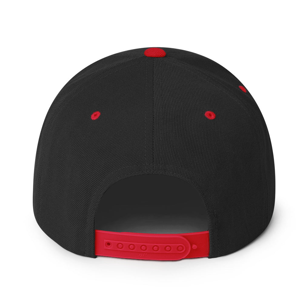 The LFG Snapback Hat